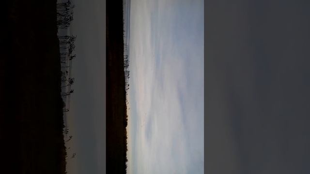 Гуси летят на юг :) смотреть онлайн
