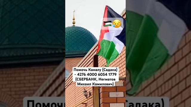 #palestine #israel #палестина #islam #dubai #дубай #оаэ #хэллоуин #halloween #muslim #arab #فلسطين смотреть онлайн