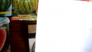 Сорта арбузов для выращивания в Сибири