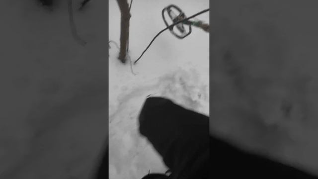 Quest X5 зима смотреть онлайн