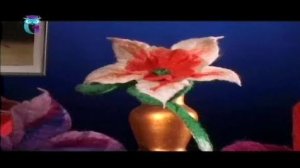 Мокрое валяние цветка из шерсти. Нарцисс, гвоздика. Мастер класс