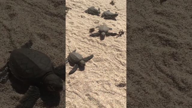 January 4, 2016 смотреть онлайн