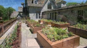 Необыкновенно красивый огород (подборка)