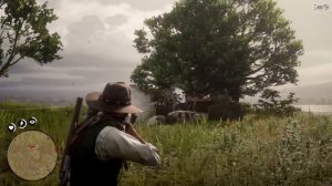 Шедевр? Red Dead Redemption 2. Обзор