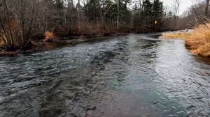 Путешествие и рыбалка на реках Дальнего Востока 29.10.2023-03.11.2023