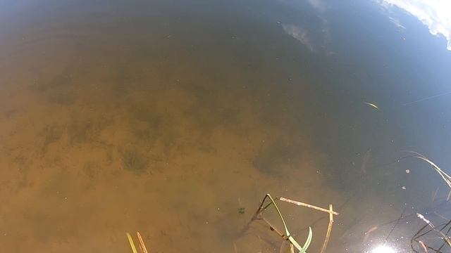 Какой Китайский Орбит ЛУЧШЕ ? WALK FISH или Bearking ORBIT 110 Воблеры с алиэкспрэсс. смотреть онлайн