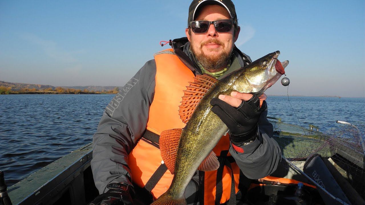 Бармалейские будни Ищем судака на Волге смотреть онлайн