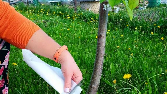 Строительные Шедевры