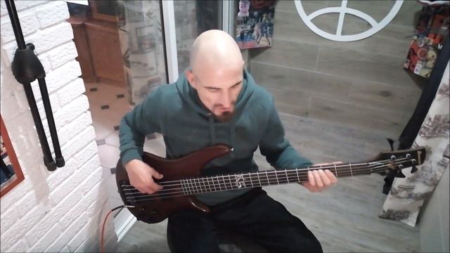 Korn can you hear me bass cover with tabs смотреть онлайн