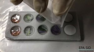 Делаю серьги с сухоцветами из эпоксидной смолы