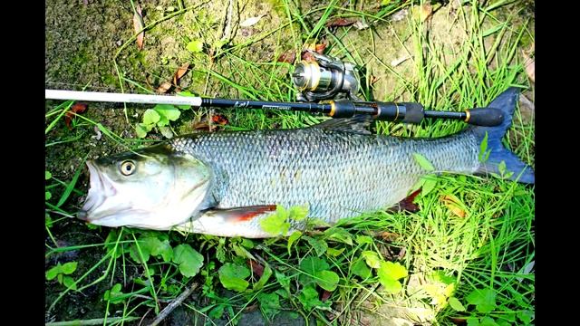 река Сейм "В поисках рыбацкого счастья" смотреть онлайн