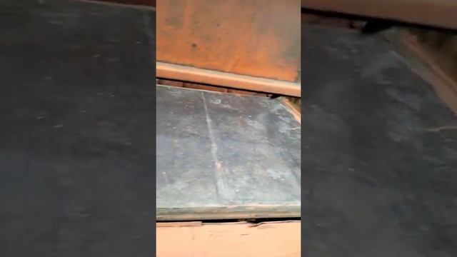 Кузов Сельхозник самосвальный (Зерновоз) экспресс-обзор от Андрея Абросимова смотреть онлайн