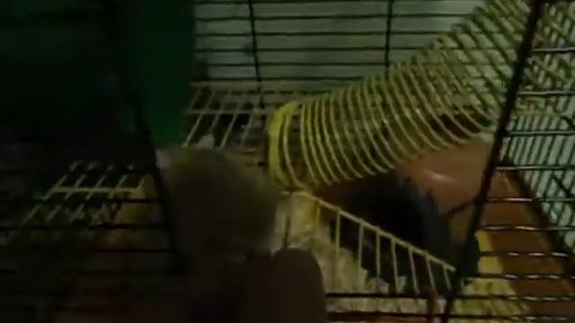 Еда в обе щеки смотреть онлайн