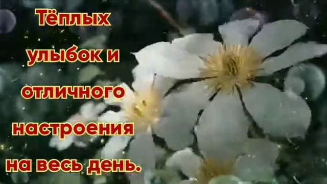 Тёплых улыбок и отличного настроения