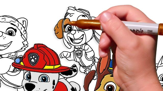 PAW PATROL Coloring Pages - Chase, Marshall, Skye. How to draw Paw Patrol. Easy Drawing Tutorial Ar смотреть онлайн