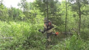 Кусторез Stihl fs 450.