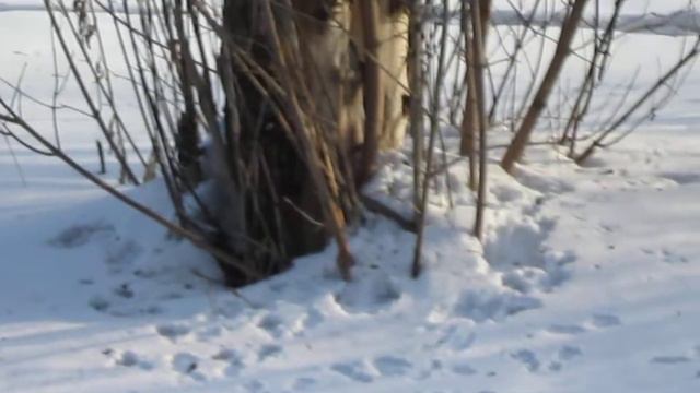 Что за дети бродят босиком по снегу? смотреть онлайн