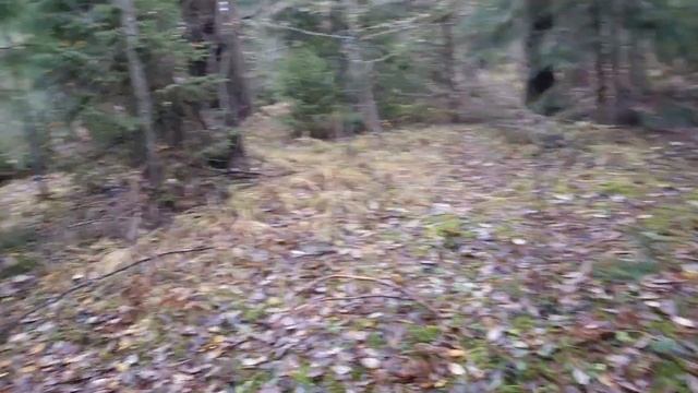 Звонкое Рождество