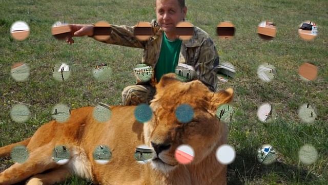 "Крымский Соmandante"(Крым. Парк львов Тайган.) смотреть онлайн