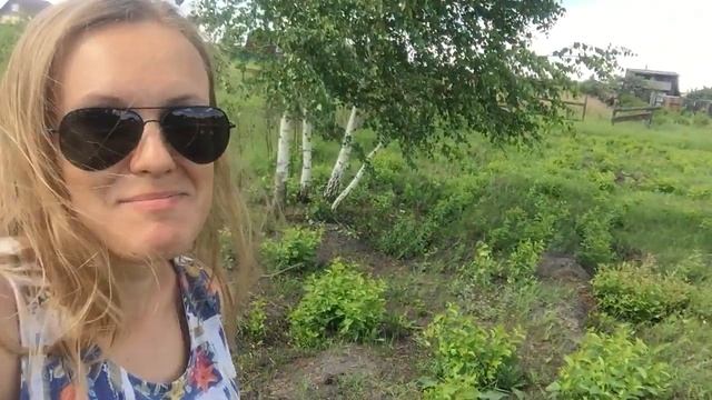 Борьба с сорняками ( пырей) июнь 2017года. Ставим забор. смотреть онлайн