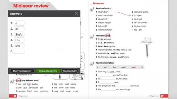 ACADEMY STARS 1. MID-YEAR REVIEW