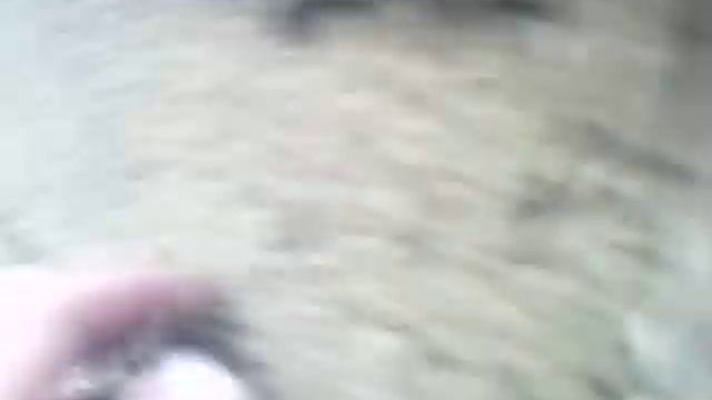 продолжаем заливку стен опилкобетоном