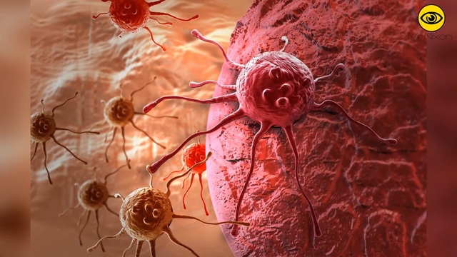 10 городов опасных для жизни смотреть онлайн
