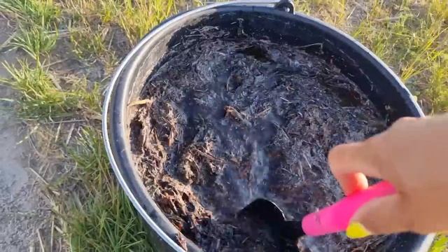 СУПЕР УДОБРЕНИЕ ОТ КОТОРОГО ВСЕ РАСТЕТ и развивается на глазах и ПОДКОРМКА О КОТОРОЙ МЕЧТАЮТ ВСЕ! смотреть онлайн