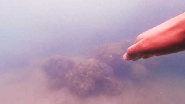 First Time Scuba Diving In Andaman | Video Scanner смотреть онлайн