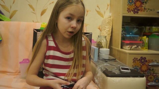 Как приручить хомяка к рукам? Моя история))) смотреть онлайн