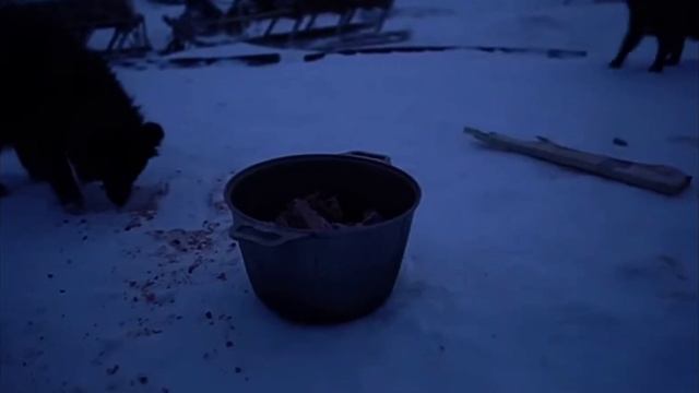 НАД ХНУВД» (МОЛИТВА ВЕЛИКОМУ НУМУ),nenets, büyük mumuyaya dua смотреть онлайн