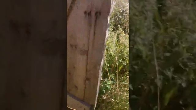 Дача своими руками, подвал с водой смотреть онлайн