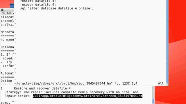 Data Recovery Advisor 11g смотреть онлайн
