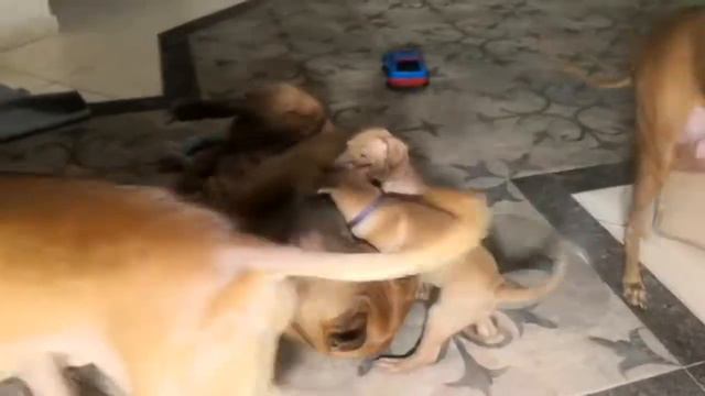 Няни бывают разные, но эта - самая классная! Babysitters are different, but this is the best. смотреть онлайн