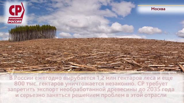 Экспорт необработанной древесины могут запретить смотреть онлайн