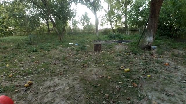 Как сделать пистолет из бутылки Coca-Cola смотреть онлайн