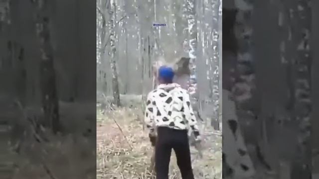 каратист смотреть онлайн