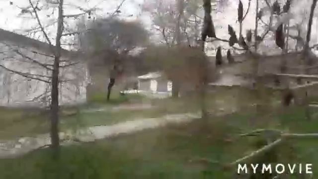 #шостка#прогулка#улицы# Прогулка по улицам г.Шостка. Школа 7.Ул.Матросова.