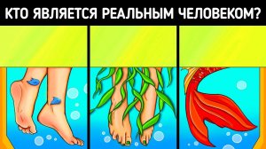 Загадки, от которых захочется швырнуть телефон через комнату