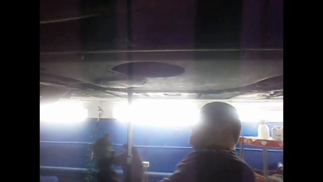 Сажевый фильтр BMW. Удаление и отключение сажевого фильтра BMW X5. Москва.