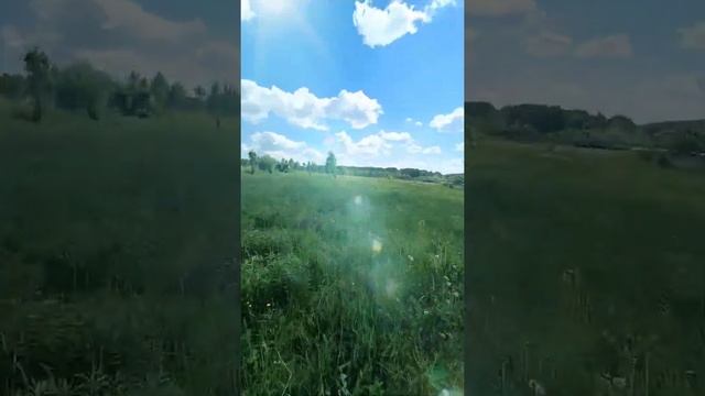 Земельный участок (категории земель, ЛПХ) смотреть онлайн