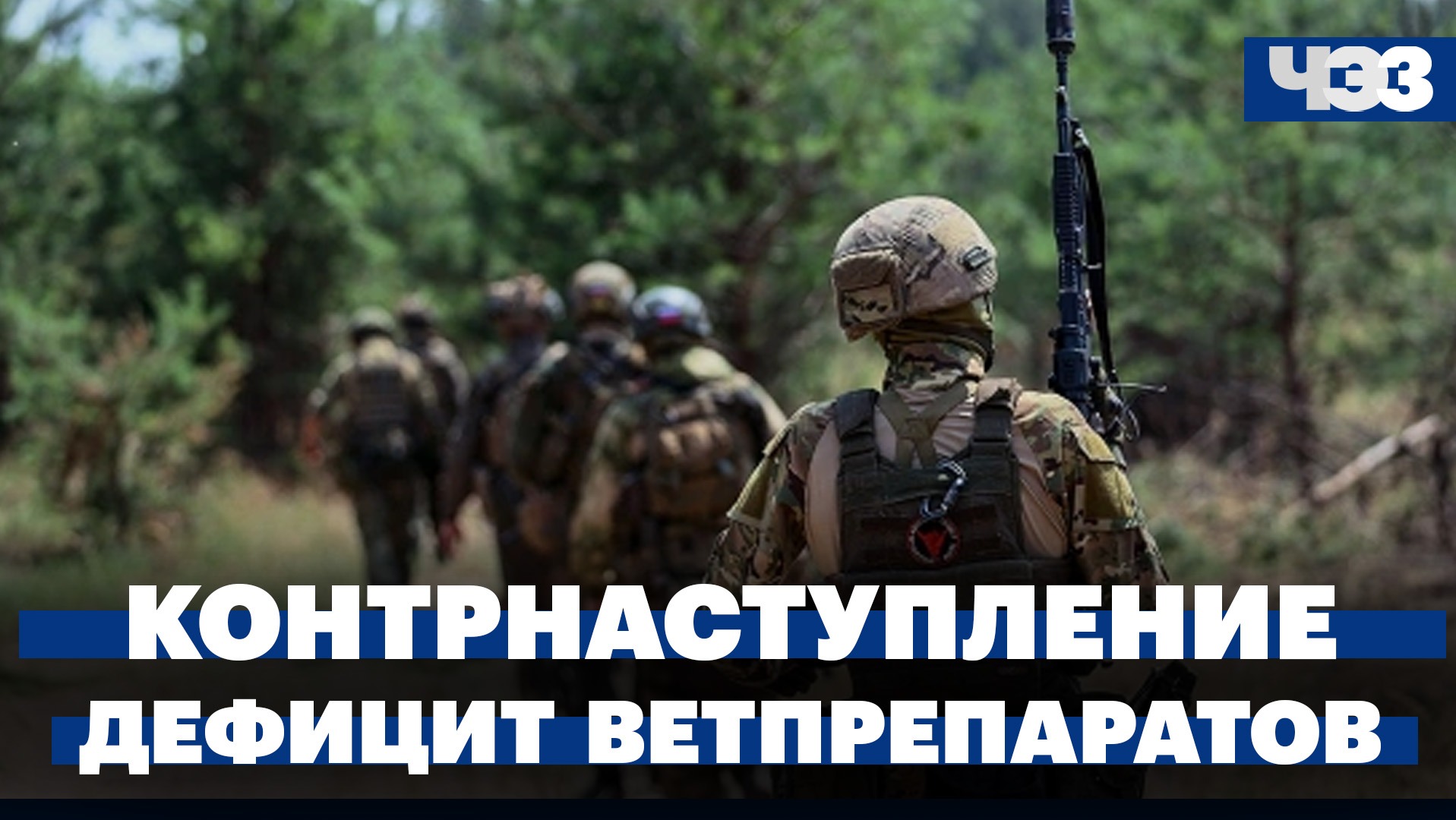 Власти Украины про контрнаступление. Дефицит ветпрепаратов в России