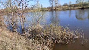 Рыбалка весной. Ловим на фидер в апреле. Весенний лещ. Река Кудьма 2023. Лещ ранней весной