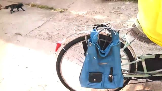 Багажник. Велосипед Веложе #15 смотреть онлайн