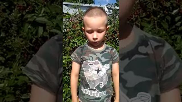 За окном березки смотреть онлайн