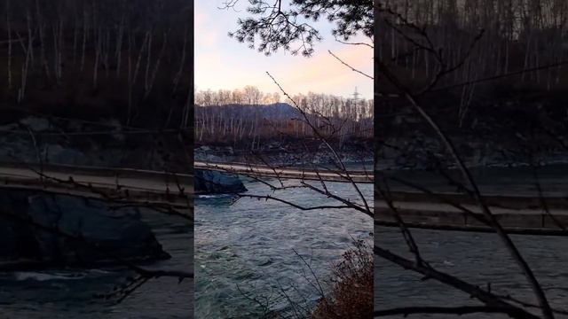 Катунь в лучах заката в конце октября 😍 Скалы Зубы Дракона, Республика Алтай, 2023 смотреть онлайн