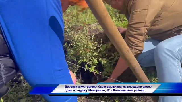 Создание Карманного парка в Калининском районе смотреть онлайн