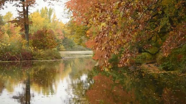 ОЧЕНЬ СПОЙНАЯ МУЗЫКА ДЛЯ БЫСТРОГО СНА #Сон #пианино #музыка #природа #приятногосна смотреть онлайн