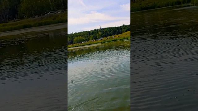 Chest Waders - White River - Pike Fishing смотреть онлайн
