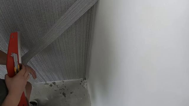 Светлана Степанова